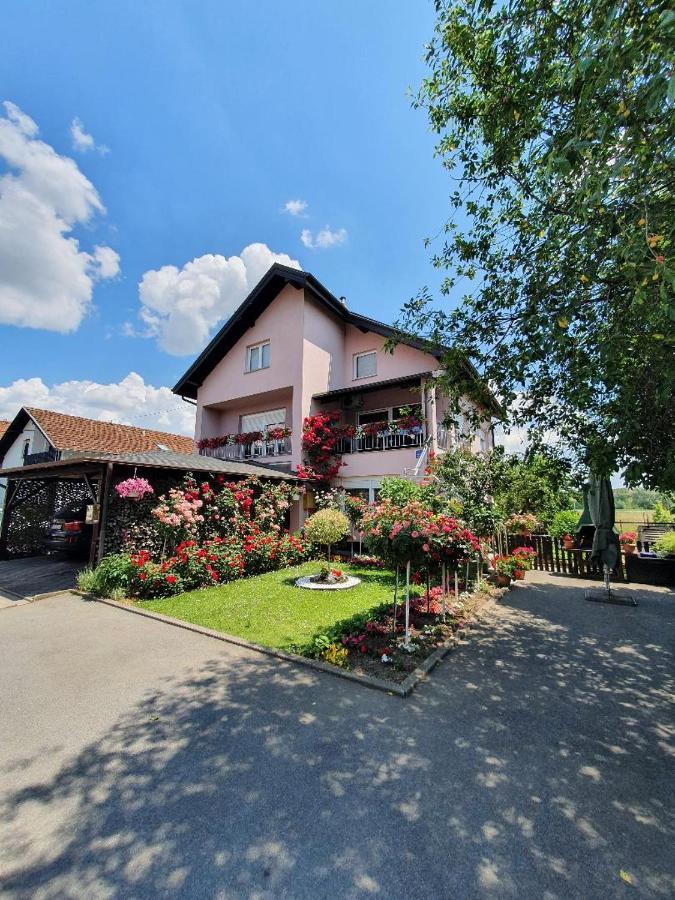 Apartman Vesna Belovár Kültér fotó